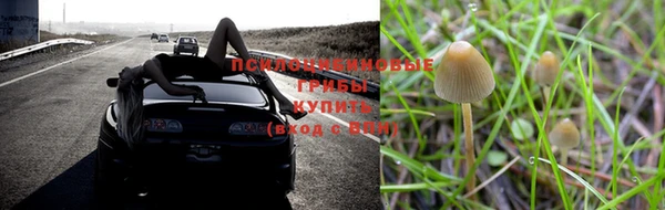 индика Михайлов