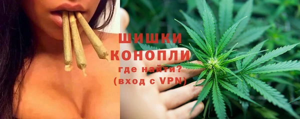 индика Михайлов