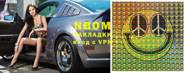 гашик Тында