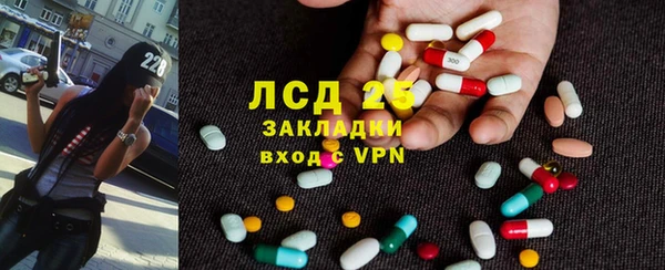 индика Михайлов