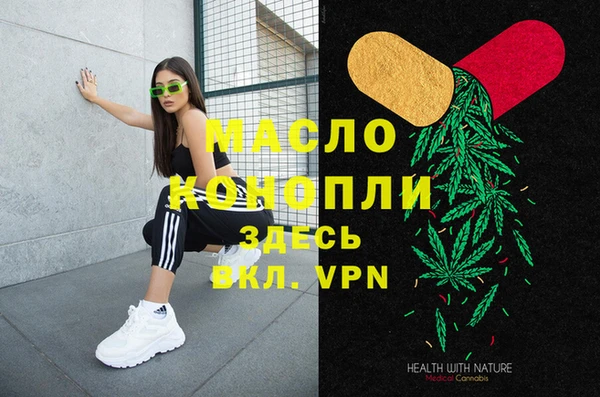 индика Михайлов