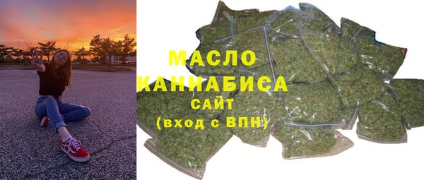 индика Михайлов