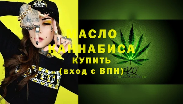 индика Михайлов