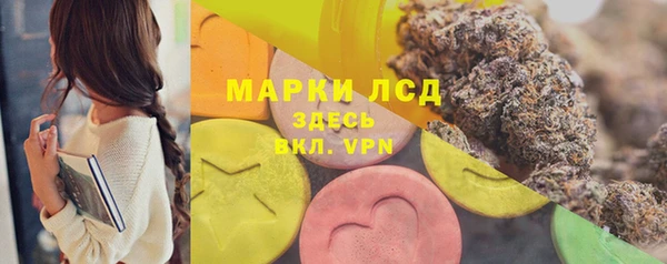 индика Михайлов