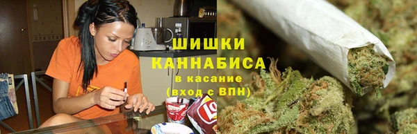индика Михайлов
